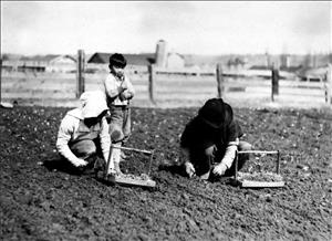 Two adults with their heads covered bend over a dirt field while a small child stands behind them. 